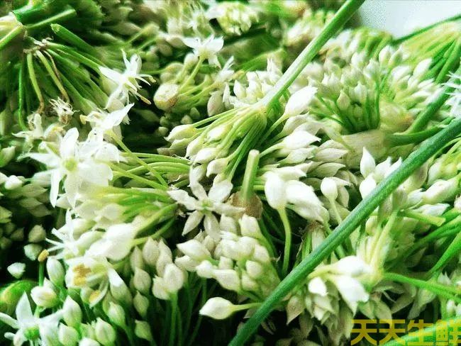 節(jié)日送花選擇蔬菜花，經(jīng)濟(jì)實(shí)惠的浪漫(圖4)