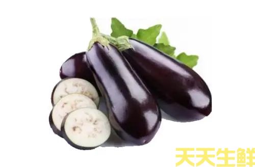 廣州農產品配送公司告訴你，常見茄子的種類有哪些？(圖4)