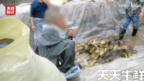 廣州蔬菜配送公司分析，土坑酸菜到底坑害了誰？(圖2)