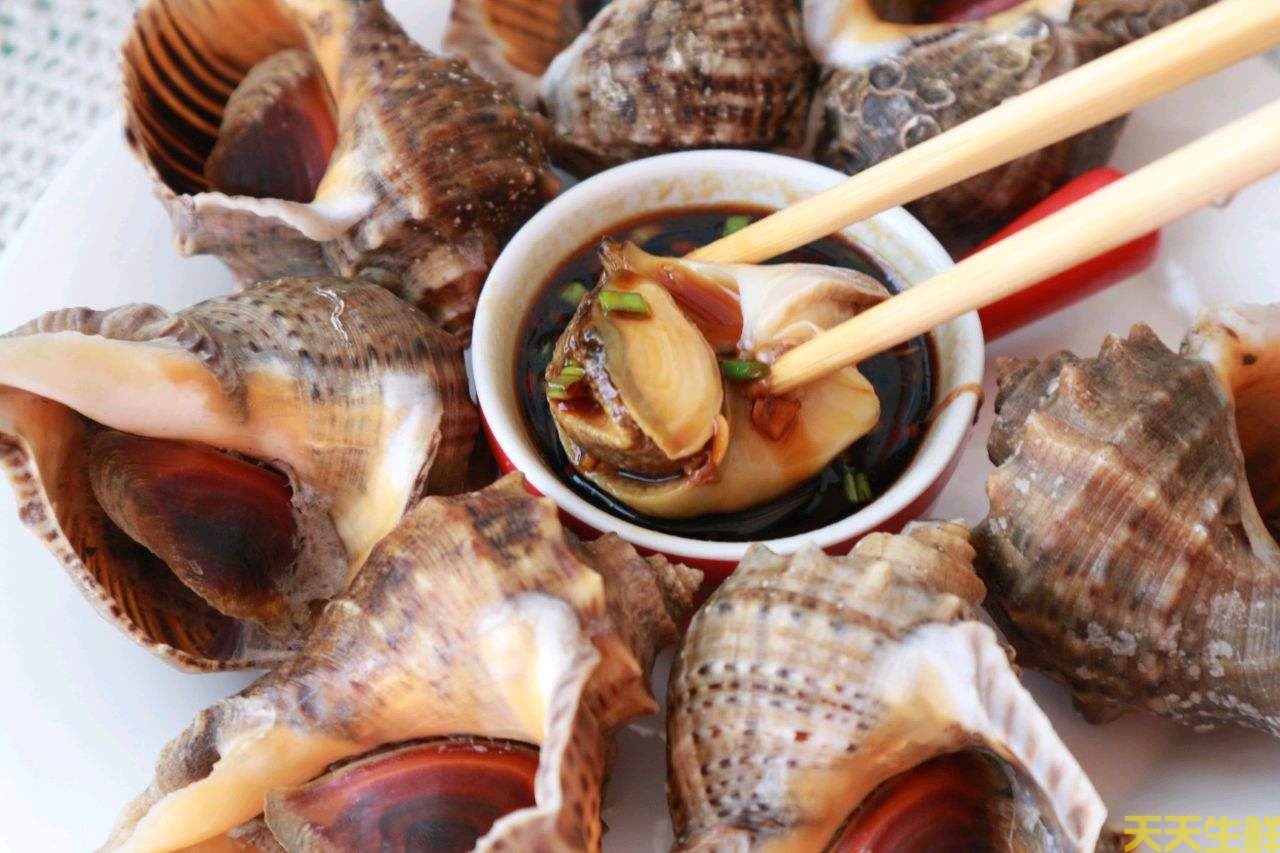 廣州送菜公司分享：常見的海鮮貝類有哪些？(圖10)