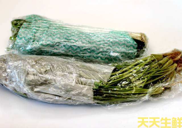 廣州蔬菜配送公司告訴你，蔬菜如何保鮮？(圖2)