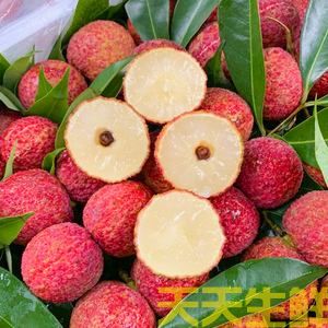 荔枝的品種有哪些？廣州蔬菜配送公司科普(圖3)