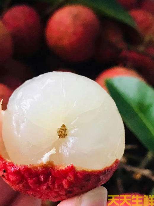 荔枝的品種有哪些？廣州蔬菜配送公司科普(圖16)