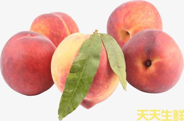 夏季炎熱吃什么水果好？廣州蔬菜配送公司分享6種消暑水果(圖2)